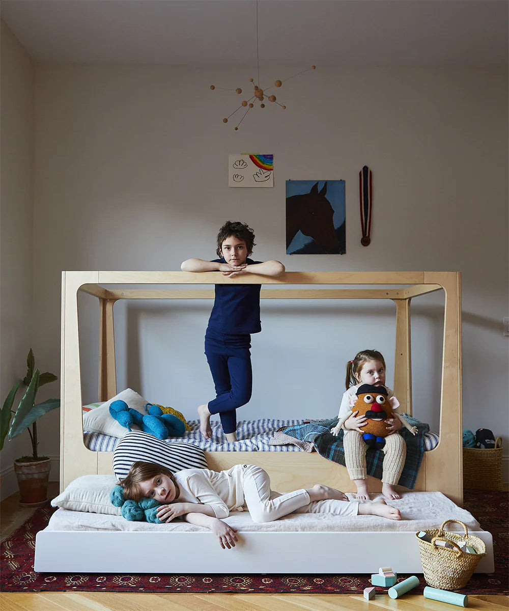 The Perch Nest Bed - Modern Loft bed